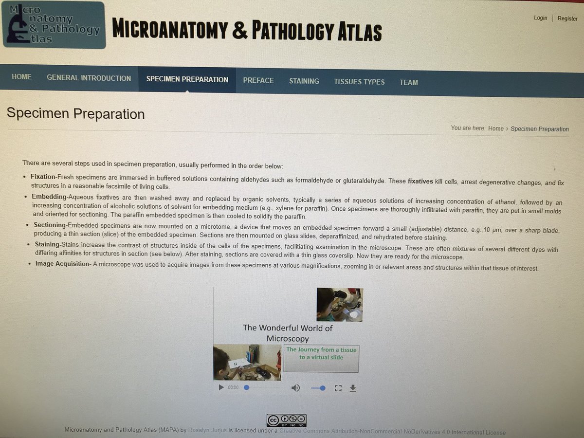DrRosyJurjus's tweet photo. Check the new addition to the #MAPA website #specimenprep video and its new star! #motherworking @GWSMHS #histology #pathology #fun #AEIUCM https://t.co/uE1jV7mQLc