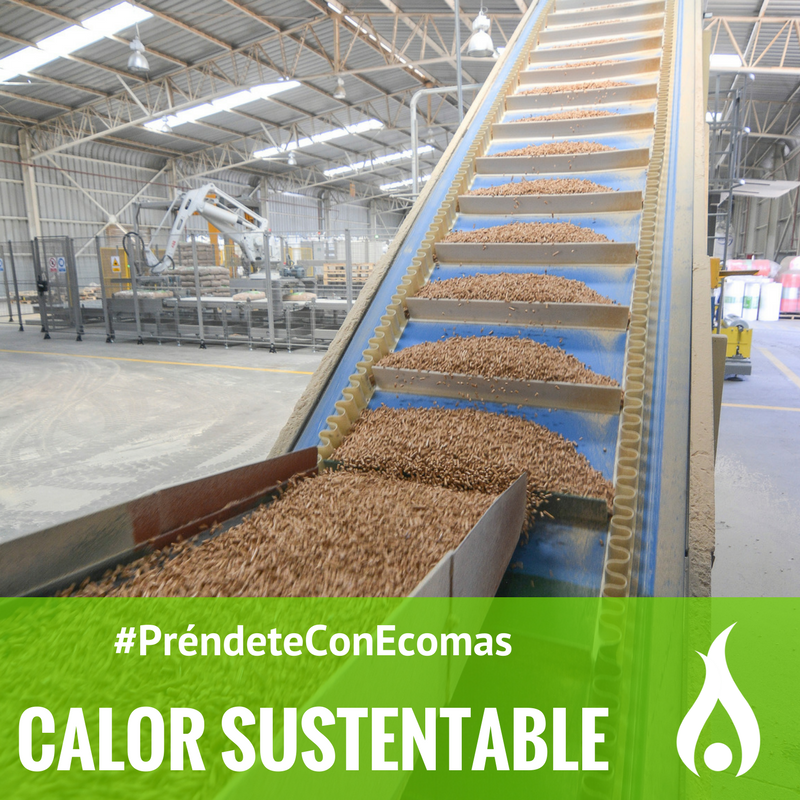 ¿Cuál es el compuesto del pellet de Ecomas? Solo madera limpia, libre de aditivos y agentes contaminantes #Sustentable #Descontaminación