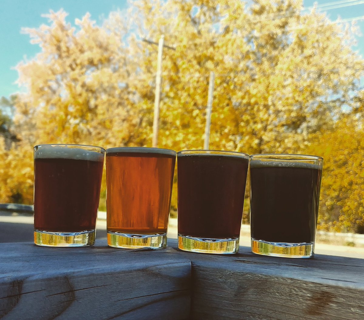 ChapelBrewingMN's tweet photo. The fall colors are on full display! Y'know, colors like Red, Blonde, Brown, or even Black! #FallColors #BeerRainbow #CraftBeer #Taproom https://t.co/qAsqUIYy1i