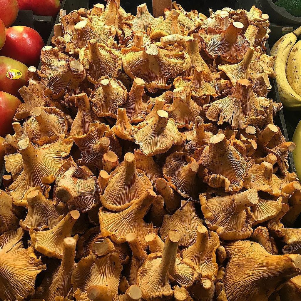 amandafreitag's tweet photo. These gorgeous Chantrelle mushrooms are a Pacific Northwest gem. #localproduce #pacificnothwest #Seattle #explorin… https://t.co/BSIE3Ol7AJ https://t.co/ZK3UwW0nfy