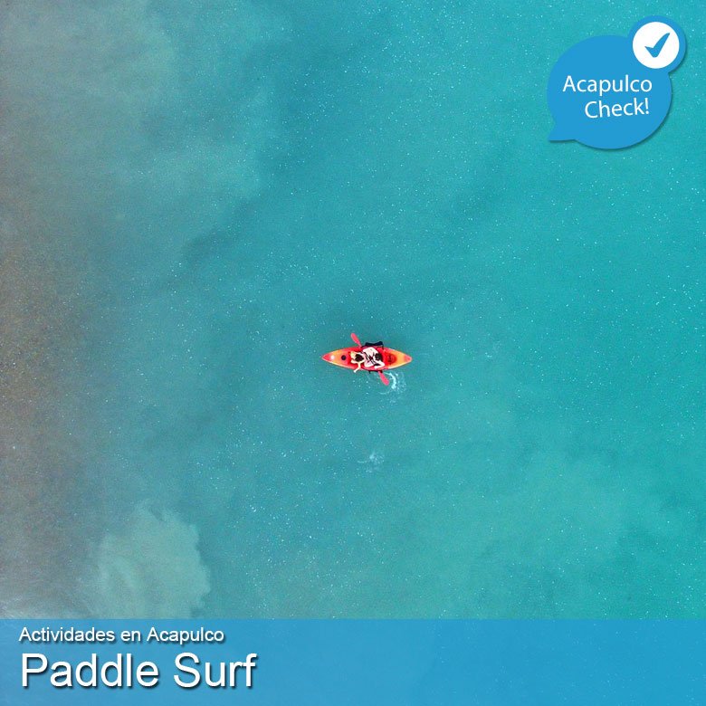 acapulco_check's tweet photo. Like quien ya vivió la experiencia del Paddle Surf en Acapulco :D
#HazCheck #Acapulco #MisVacacionesEn #AventurasEcoturisticas #PaddleSurf https://t.co/WAg8kLeYjn