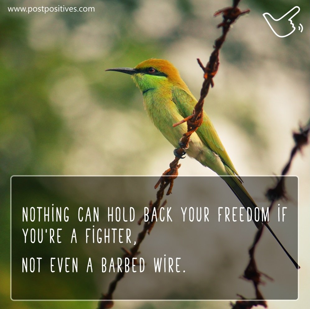 post_positives's tweet photo. The sense of freedom.
#freedom #financialfreedom #freedomthinkers #timefreedom 
https://t.co/4QCuynvXcX https://t.co/W4KOM87f8H