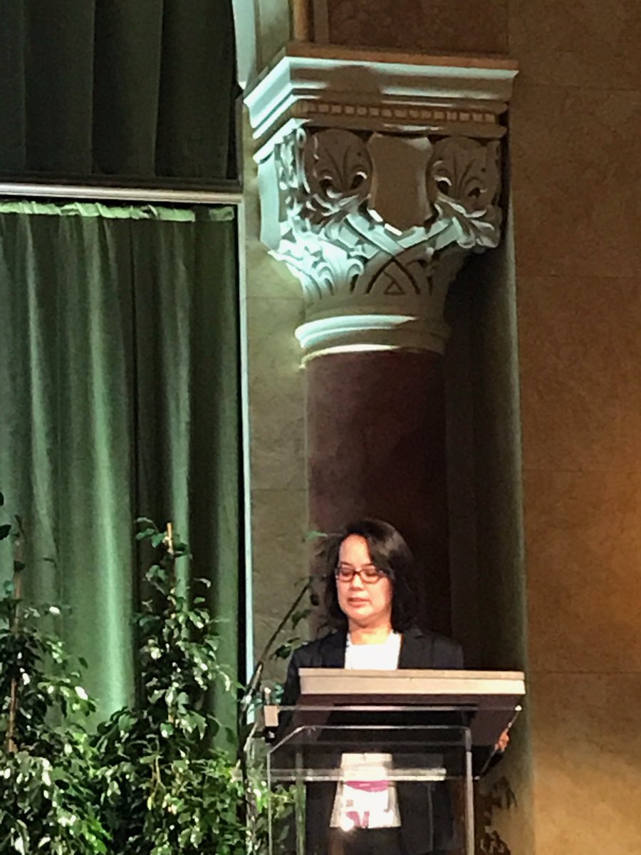 MountSinaiCVC's tweet photo. Great debate on #stroke #care models yesterday by @johannatfifi : "Ship the #patient or the #doctor?" #WFITN2017 #Budapest https://t.co/EsXZPDJtYW