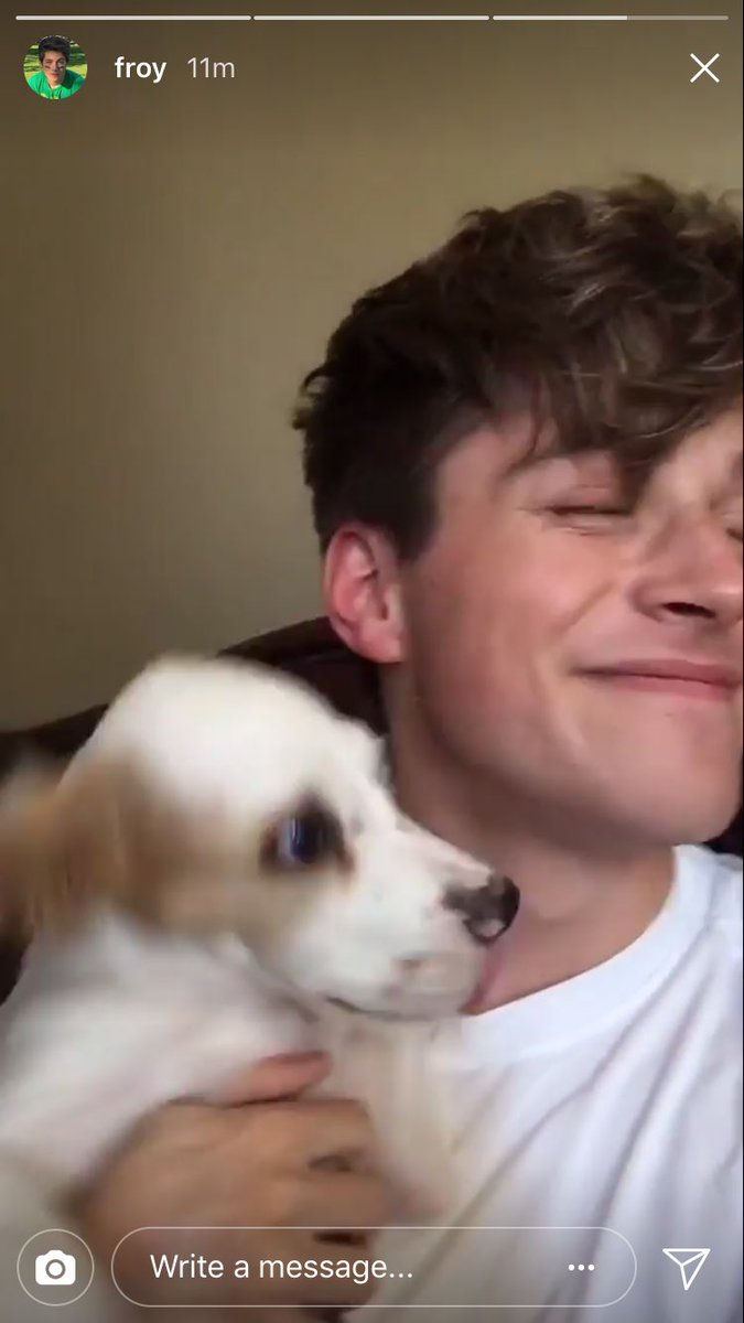 Hamjjisungpwark's tweet photo. Why canβt all boys be like froy πππ #FroysPack #froypuppies #froy https://t.co/52NY4U6K14