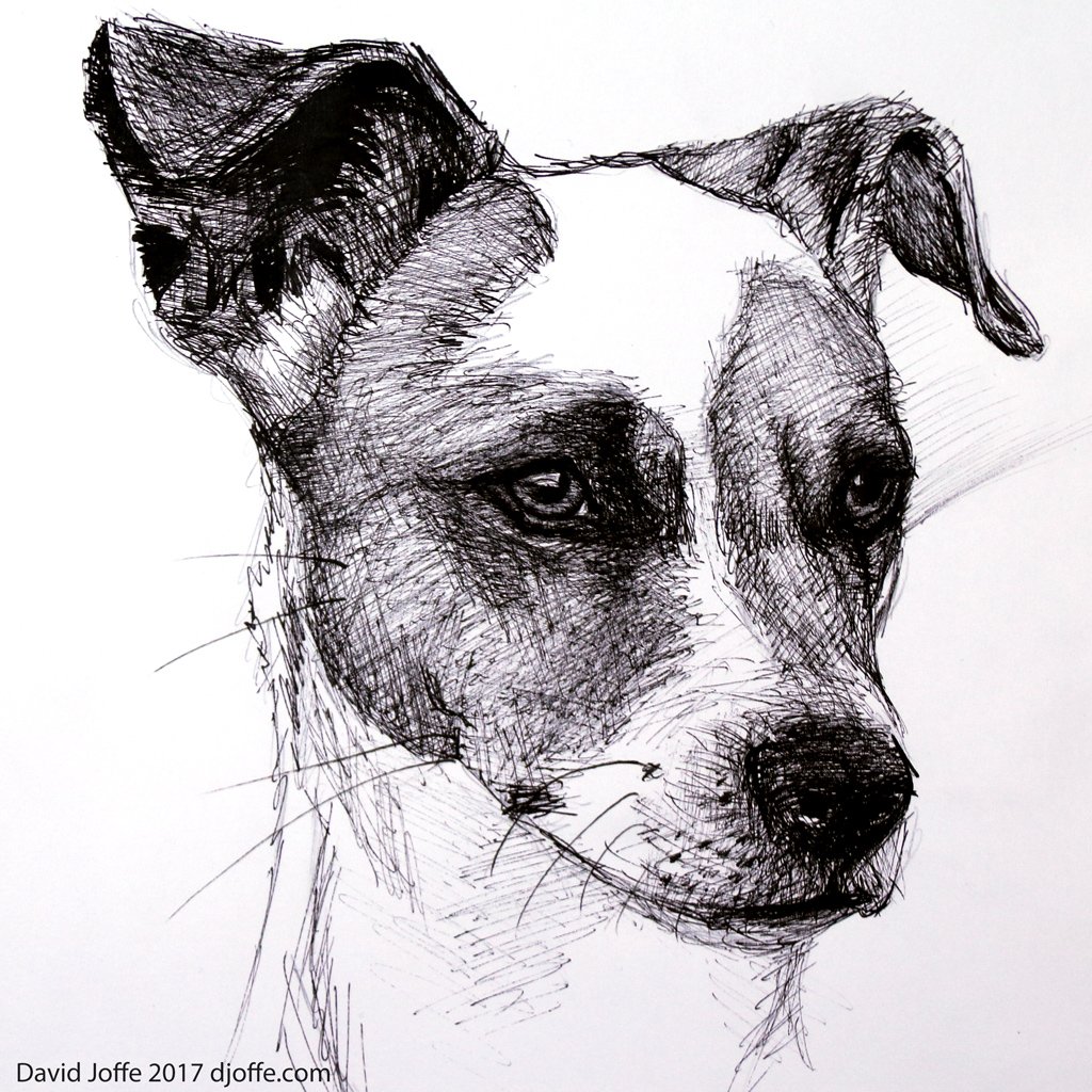 #Art New #Drawing #TimeLapse: #Dog 🐶🐕
youtu.be/HkzFl58MFKQ
<a href="/retweet_videos/">Youtube Retweet</a> <a href="/YouTube_RTs_/">YouTube RT's</a> <a href="/YTRetweets/">★YouTube Retweets★</a> <a href="/RetweetYouTube4/">Youtube Retweets</a> <a href="/FatalRTs/">Fatal Retweets</a> <a href="/IconRTs/">Icon Retweets 🔥🎮❤</a>