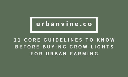 basil_grower's tweet photo. 11 core guidelines to know before buying grow lights:

> https://t.co/opZzcCXgPy

#urbanfarming #food https://t.co/S0gRr1r6VX