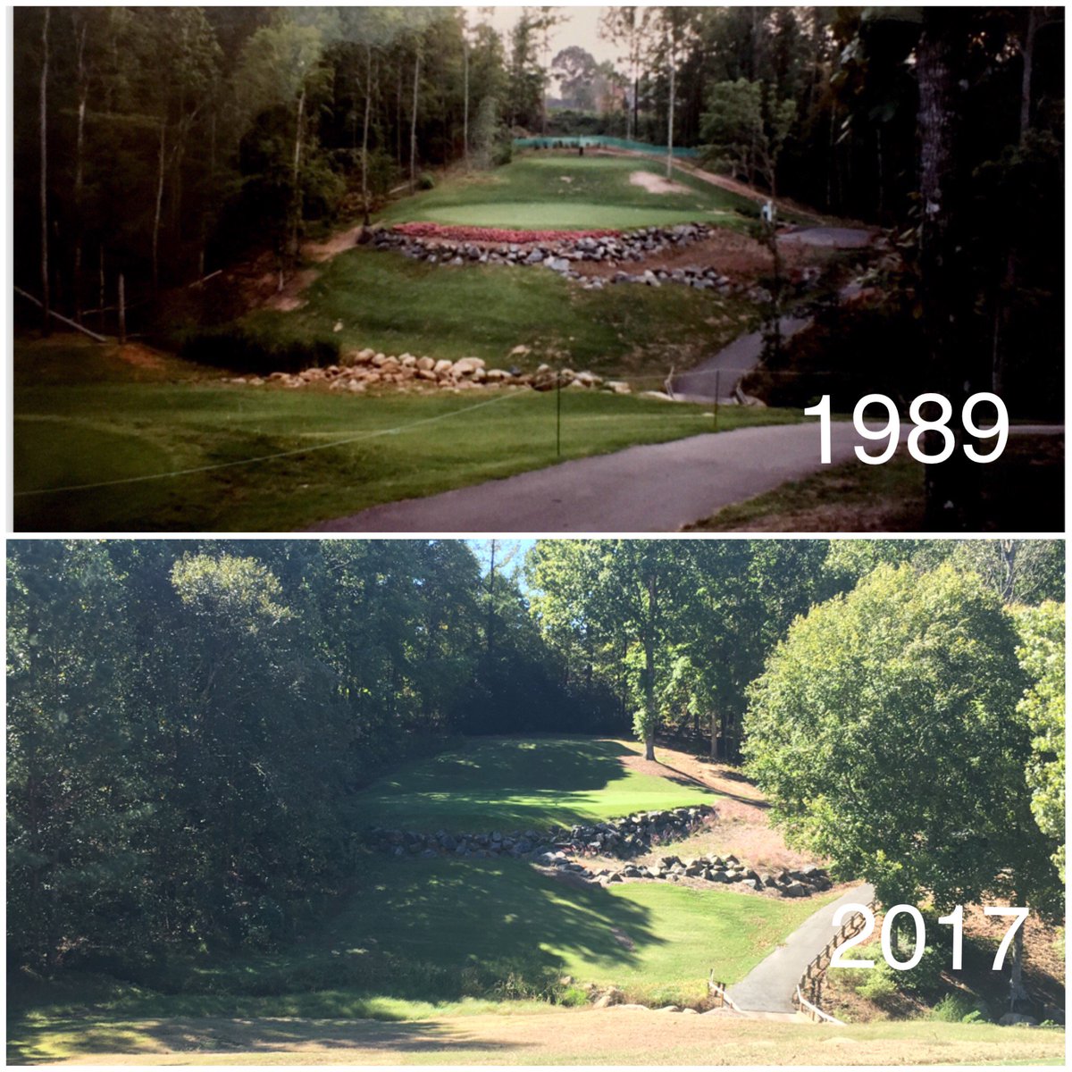TPC_PiperGlen's tweet photo. Starting to think we might have a little shade issue on this tee complex after comparing the 1989 photo to the 2017 photo.  #treesgrow https://t.co/U9QD2FpKtU