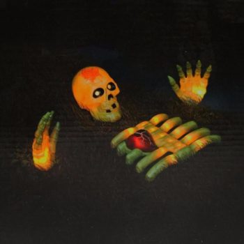 Paddlers Report tweet media