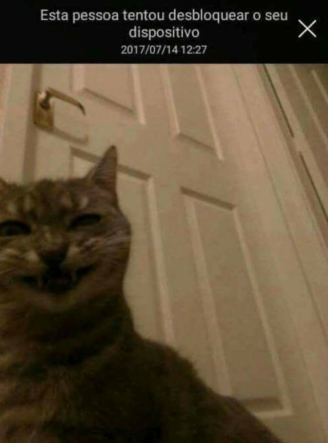 Eu jamais superarei esse selfie