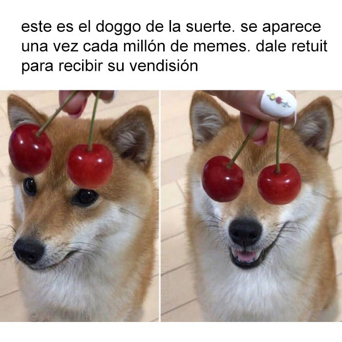 yisucrist's tweet photo. no t lo pienses, hazlo https://t.co/bg7cFx4UsB