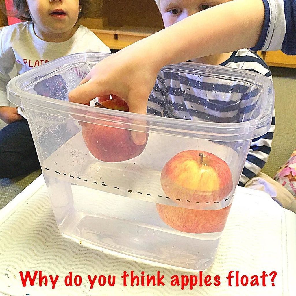 LCH_Montessori's tweet image. Investigating Apples 🍎🍎 #AppleScience #Buoyancy #Density #Gravity #Toronto #Leaside #Montessori #Preschool #Leasid… ift.tt/2yxDpnm