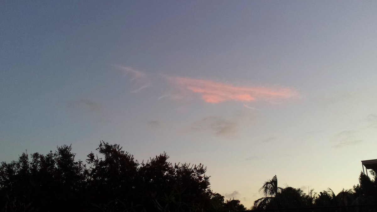 CherScheff's tweet photo. spot the bird in the first/second pic🐦 #Wednesdaysky https://t.co/abY4c33RmO