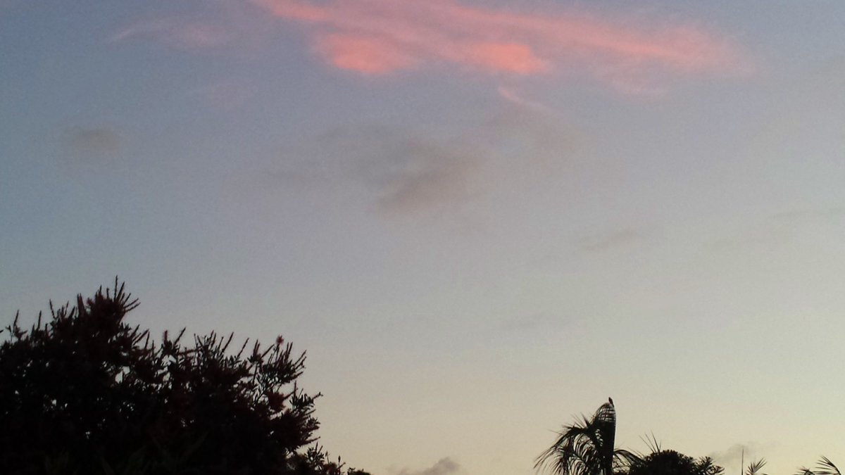 CherScheff's tweet photo. spot the bird in the first/second pic🐦 #Wednesdaysky https://t.co/abY4c33RmO