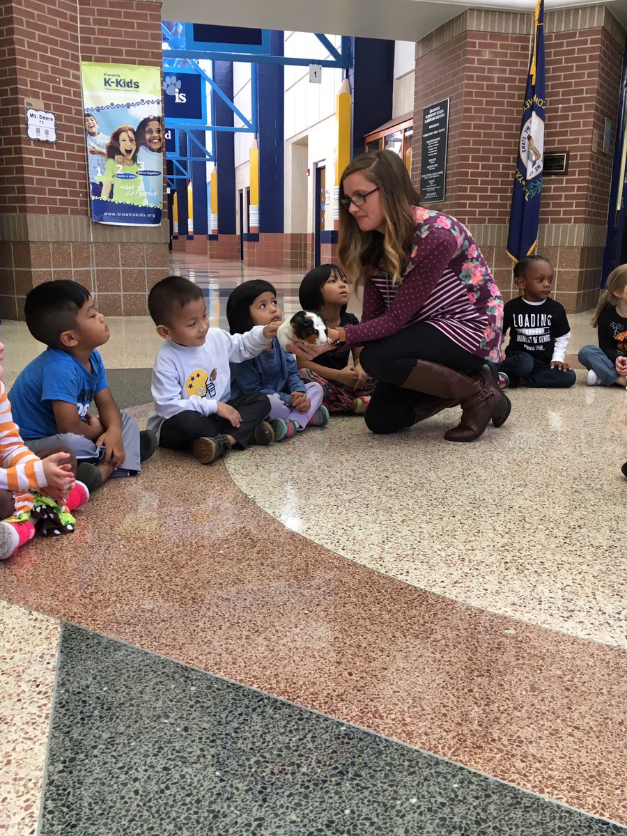 MrsAlfordprek's tweet photo. Meeting Briarwood pets today with Mrs. Blairs class #petunit https://t.co/wISmxgQaXF