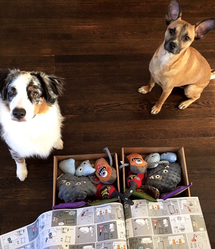 BarkBox day is the best day! 🎃🐶👻 <a href="/barkbox/">BarkBox</a> #barkbox #happypups
