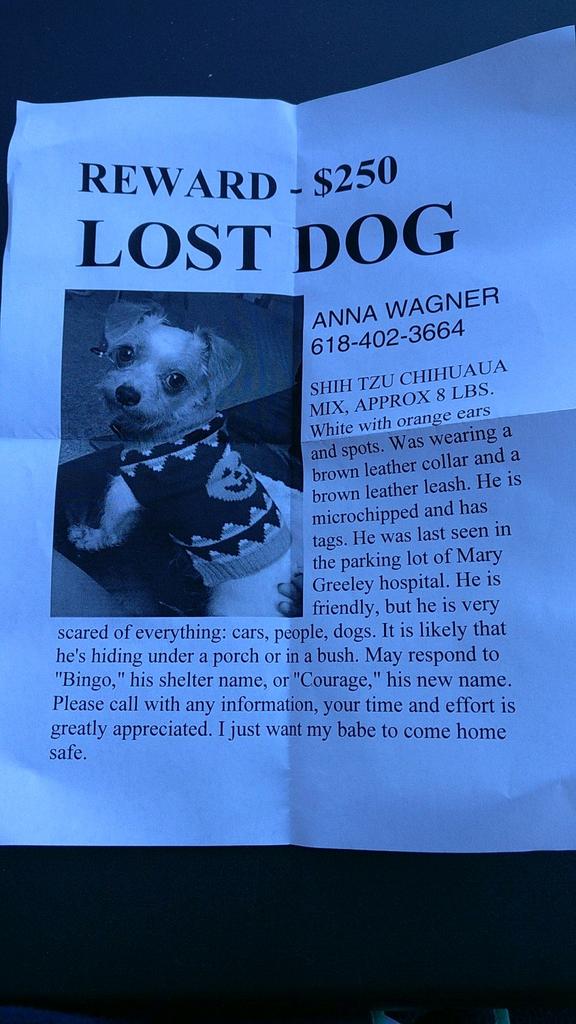 blk_ladybug's tweet photo. #FindBingo https://t.co/i2RzpJYsAZ
