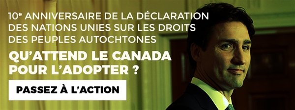 guyboulianne's tweet photo. La Déclaration des Nations unies sur les droits des peuples autochtones a été adoptée par l'ONU en septembre 2007 : https://t.co/L1Al3M60W5. https://t.co/4X78zRCM0f
