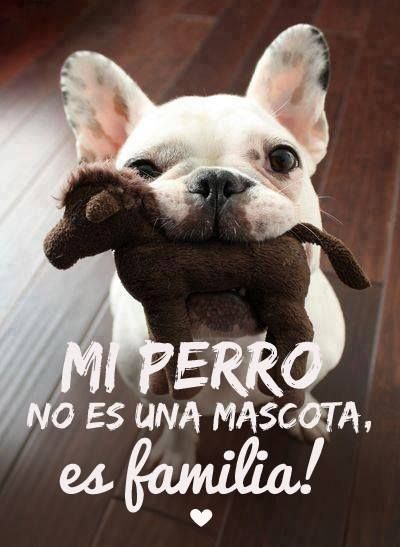 basagente tweet picture
