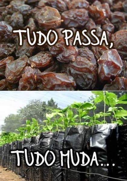 I'm at CDBar in Fortaleza, CE w/ <a href="/patrici99392315/">Patricia #TimBeta</a> swarmapp.com/c/0TtbT0SXQqp