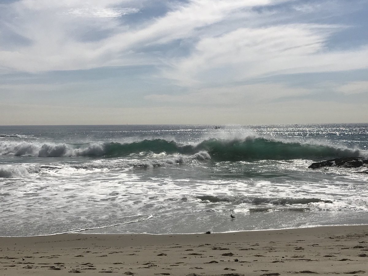 OC Lifeguards (@oclifeguards) on Twitter photo 