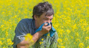 MrVitamins's tweet photo. Allergies? Get quick #allergyrelief with Quercetin. #vitamins #minerals #immunity https://t.co/VYOF6WNipo https://t.co/S5NNgPV2xh