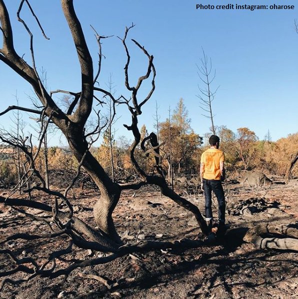 CAL_FIRE's tweet photo. #LoboFire [update] near Rough and Ready (Nevada County) is now 821 acres and 99% contained. #WindComplex https://t.co/tg3H3g2IJ3 https://t.co/xUiTwoWMkO
