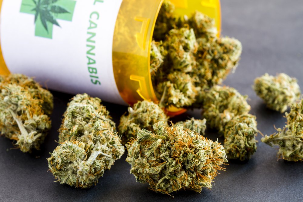 WiseOwlDotCom's tweet photo. CannPal aims to commercialise cannabinoid-derived therapeutics for treatment in animals #marijuana #IPO #asx #pot
https://t.co/xeNxbM5ymr https://t.co/yFESwS2KTC