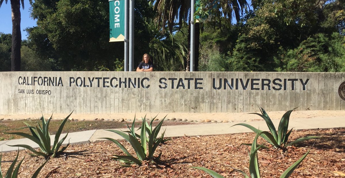 sydney_2525's tweet photo. I am very excited to announce that I have committed to Cal Poly!! I can’t wait to further my education and softball career as a Mustang💚💛🐎 https://t.co/AUCSuHtxbM