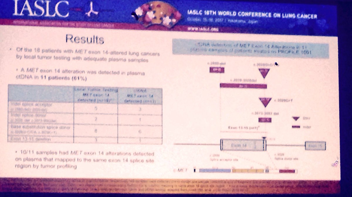 Cortot_Lille's tweet photo. @alexdrilon: MET exon14 splice sites mutations detected in ctDNA of 61% tissue + pts from PROFILE 1001. Predict response to crizo #WCLC2017 https://t.co/DeUVZOTpPX