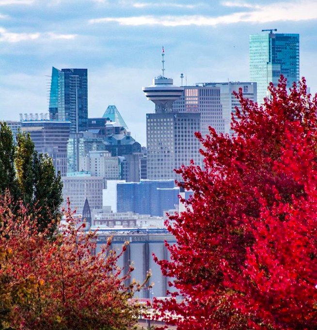 VIAwesome's tweet photo. Daily Photo #2639: Vancouver in the fall https://t.co/XaQDytieZ2 https://t.co/lIk2znfPfu
