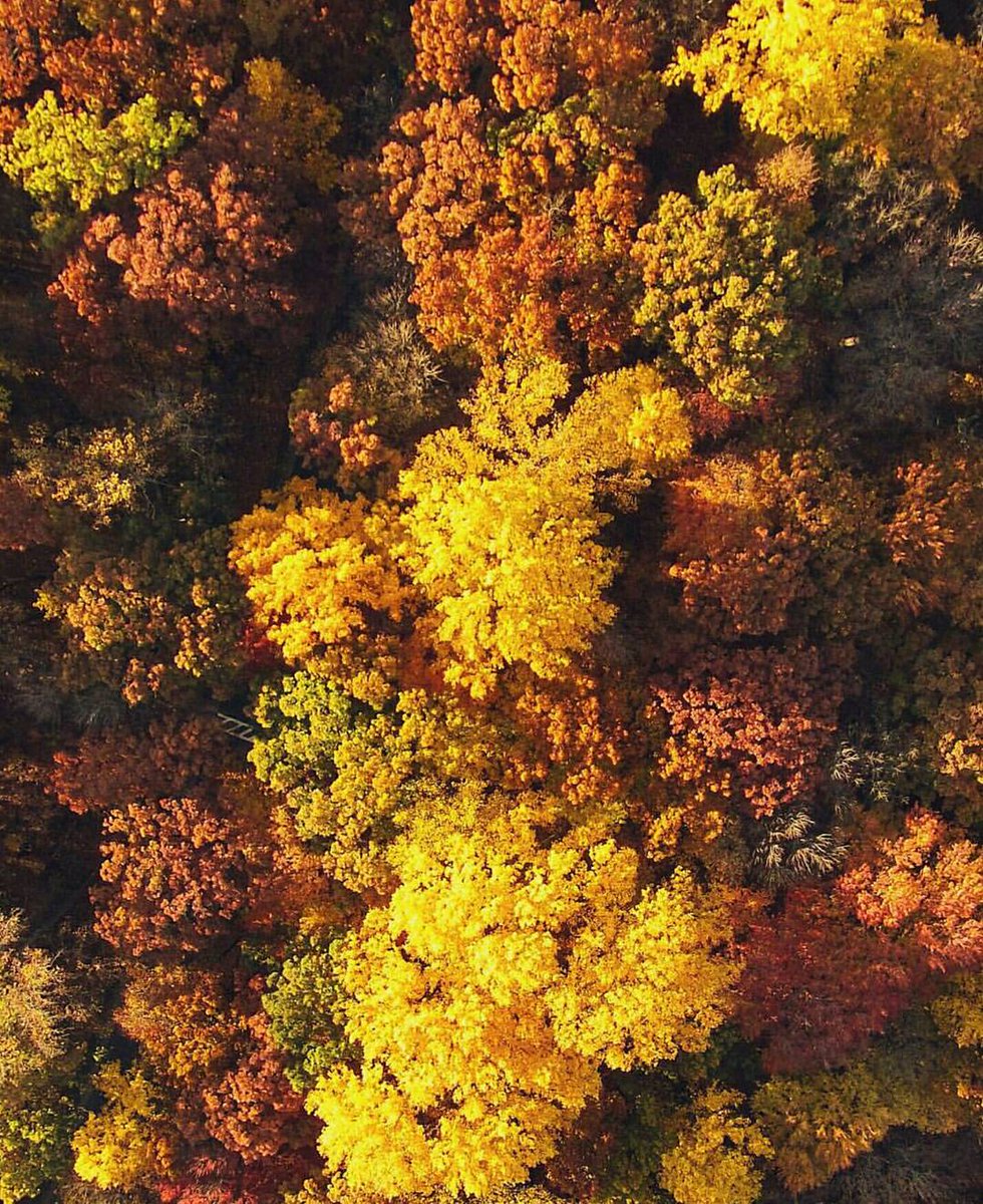 Aguiar (@aguiarrinaldo) on Twitter photo 