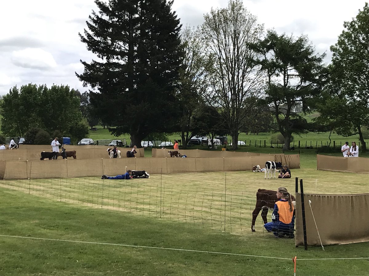mattescarroll's tweet photo. Good to be out in the community at the Waikite Valley Primary School Ag day today. #perrinag #nextgenerationoffarmers https://t.co/RPWTeLtPES