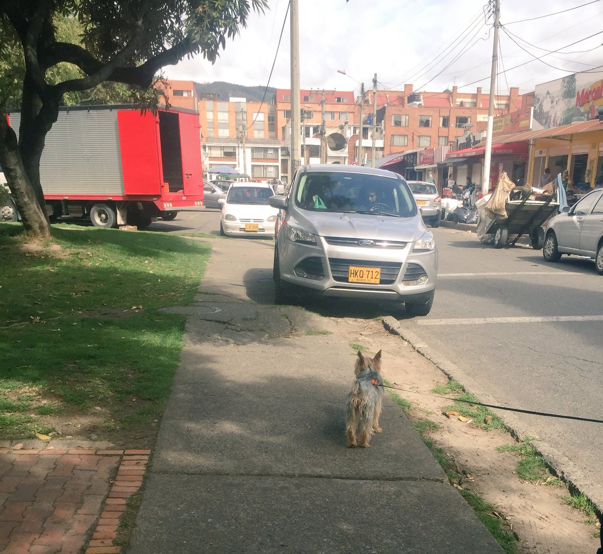 andresrolon13's tweet image. Como que en Batán este uso de andenes es normal... @cazainfractor @elpoderdelcono @Bogota