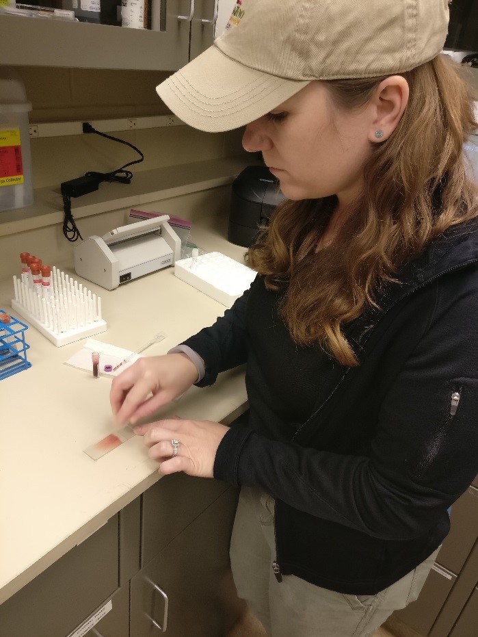 TulsaZoo's tweet photo. A large part of being a vet tech is working in the lab, preforming tests such as: blood, fecal, fungal, etc. #VetTechTakeover #Pathology https://t.co/LZ5i4Sv4y0
