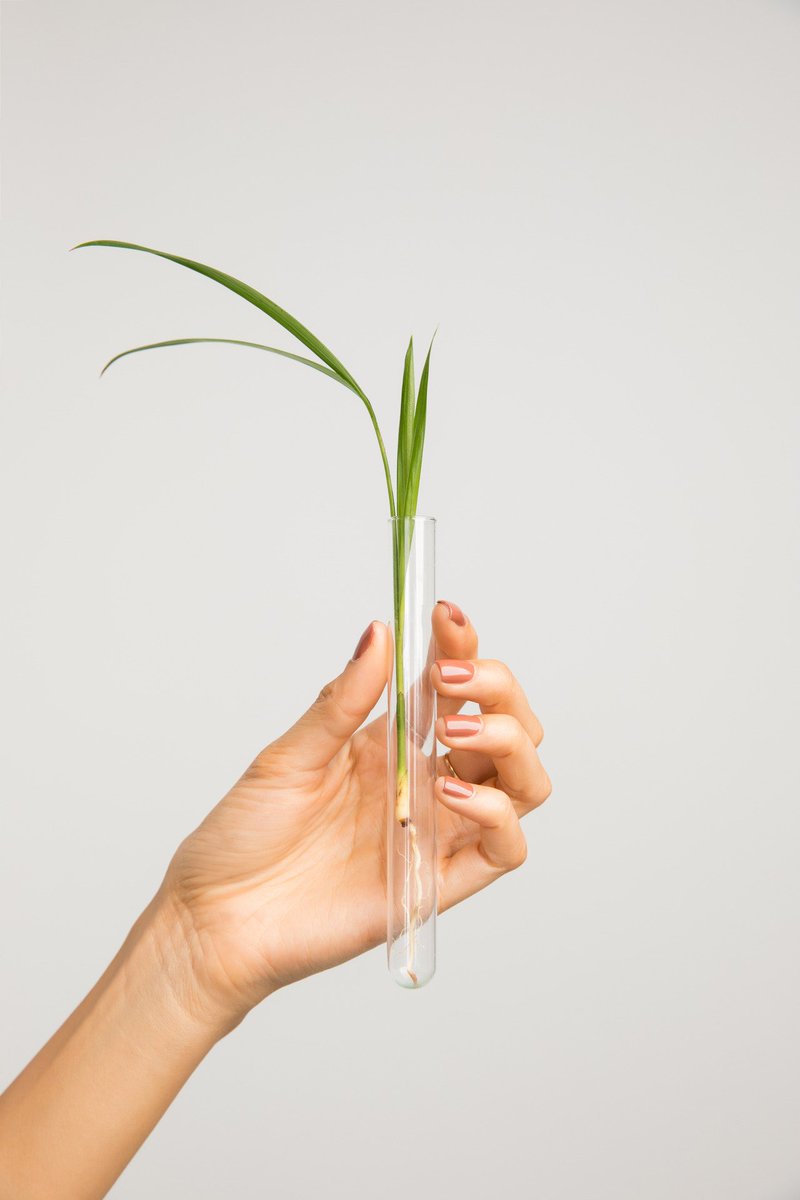 NatureLabTokyo's tweet photo. When nature met science…
#NatureLabTokyo #natureperfected https://t.co/YsxmV1f4YF