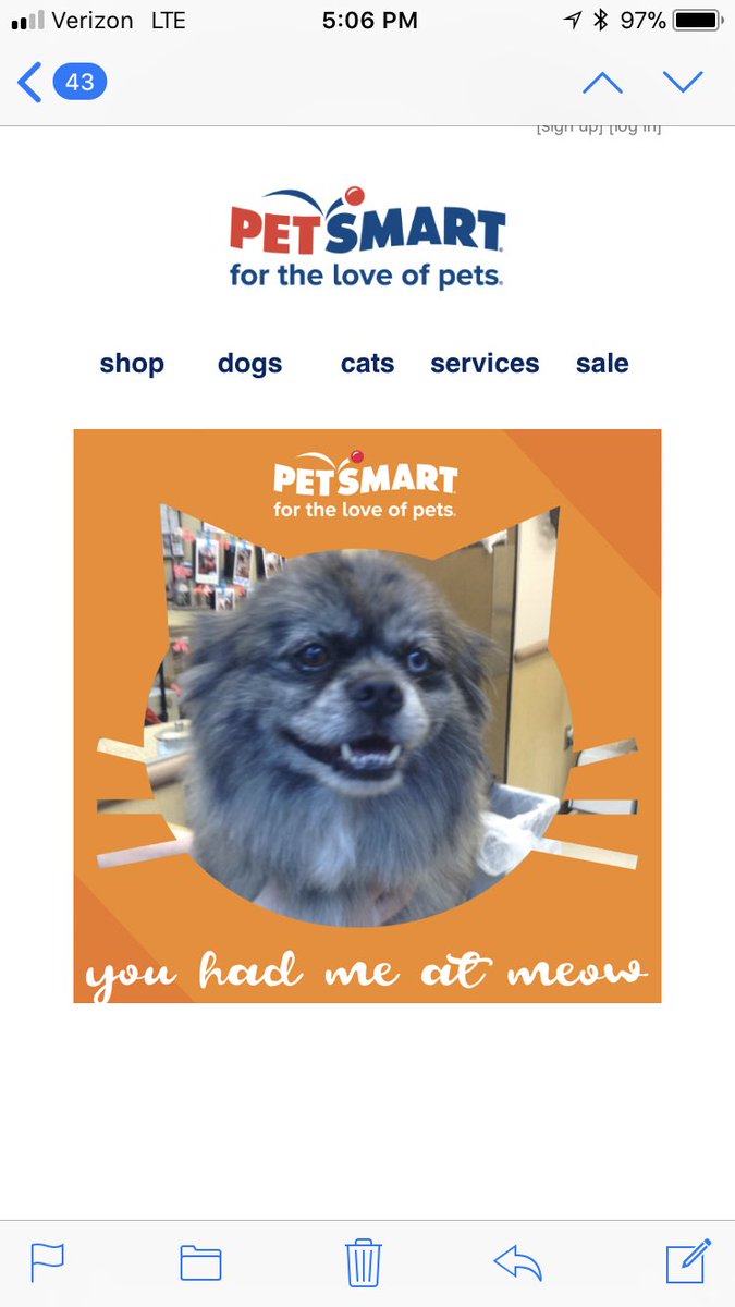Loooove Chester!!! <a href="/ssklr11/">Kristie Reisenweaver</a> <a href="/JoannaZucker/">Joanna Zucker</a> @PetSmart_DaveK
