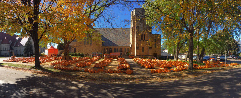 mocathedral's tweet photo. Pumpkin patch beauty! #choirlove https://t.co/fZQlUCJtLn
