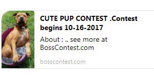 BossContest's tweet image. Have a dog? Get in on the contest at:
bosscontest.com/contest/detail…