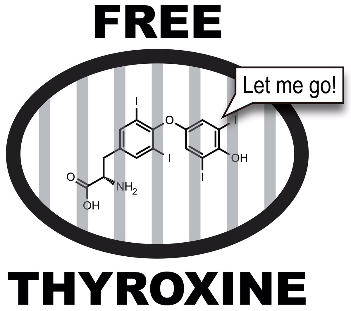 DiabetesNinja's tweet photo. Come on, lets #FreeT4 #Endocrinology #DaBoards https://t.co/1cPEsgSVjg