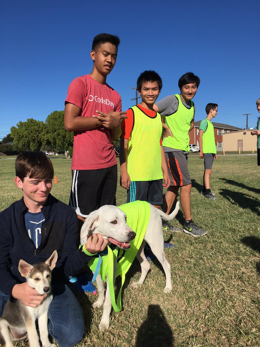 RiderUltimate's tweet photo. Club mascots made an appearance today! #ultimate #mascots #frispups #dogsofultimate https://t.co/WNZ9zZaVTn