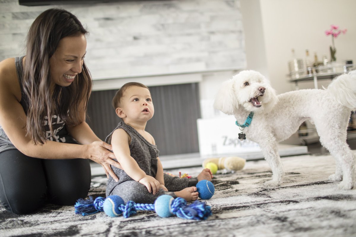 Zappos's tweet image. WA, it&apos;s your turn! We&apos;re coming with @AnimalLeague to help you find a furry friend! #zapposforpets zps.to/D3TlIVr