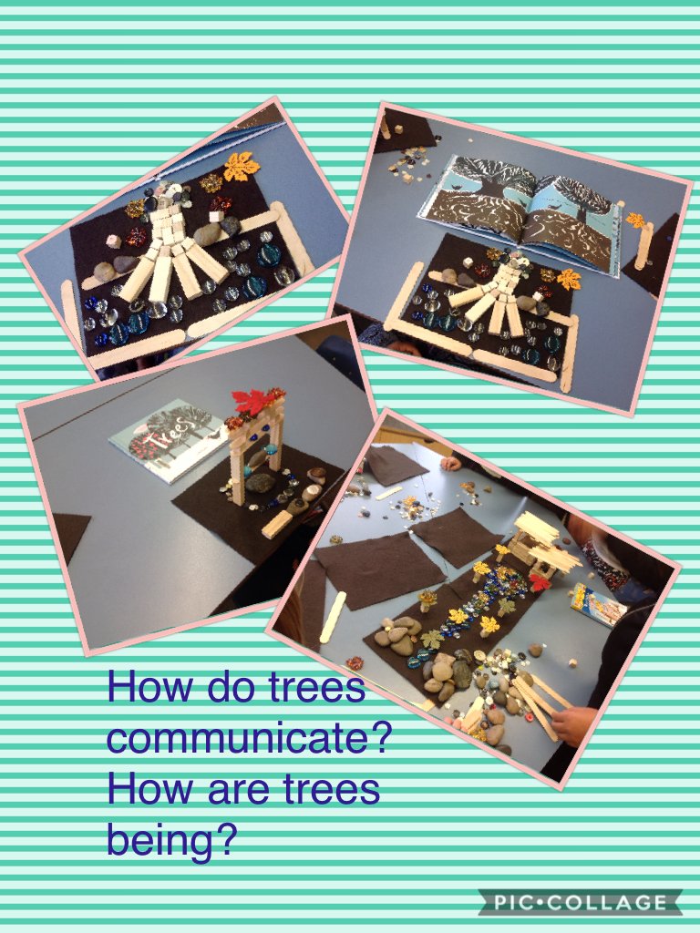 JaniceLibrary's tweet photo. How do trees communicate? How are trees beings? Blundell Library. #rtla38 #sd38lear https://t.co/PI53Mjvia5 https://t.co/hSiQBlzEUc
