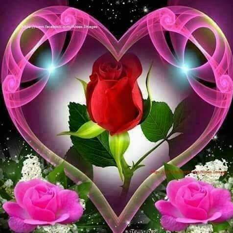FelixLaraC's tweet photo. FELIZ CUMPLEAÑOS PASALA BONITO QUE DIOS TE BENDIGA @PatriciaElain https://t.co/P0PKdVjUbH