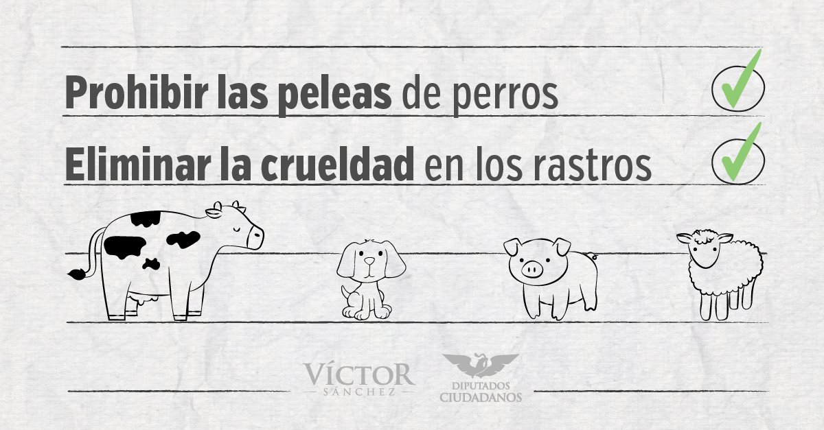 VictorSanoro's tweet photo. Hoy se aprobó la #LeyRastrosSinCrueldad, que fue respaldada por más de 340mil ciudadanos. Ahora está en manos del Senado su aprobación. https://t.co/eoCnkcR09Q
