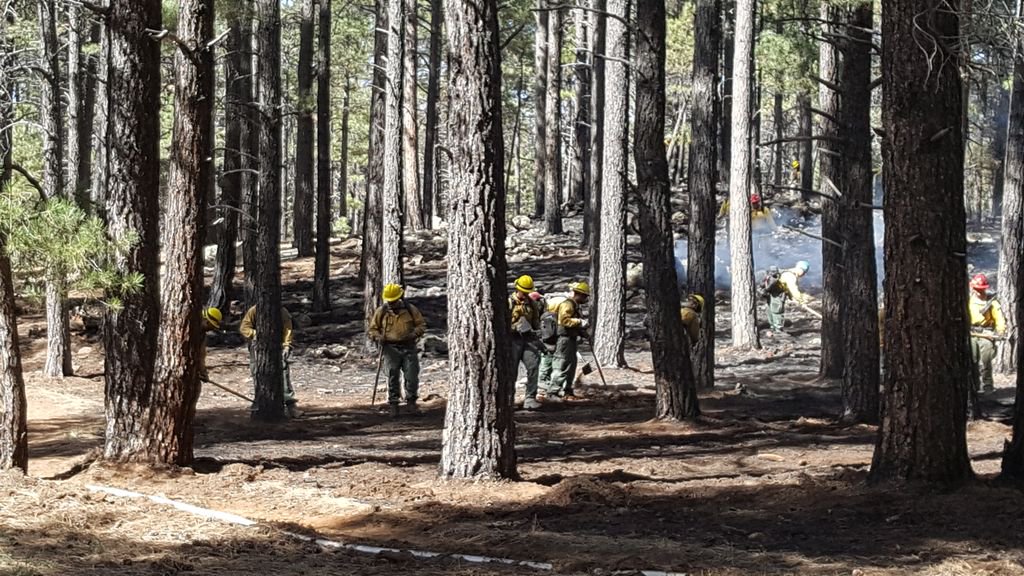 CoconinoNF's tweet photo. Field trip to #BillFire north of Wing Mountain (contained, 3 acres) to chat with NAZ Today about abandoned campfires. #Flagstaff @naztoday https://t.co/iHYNssglyM