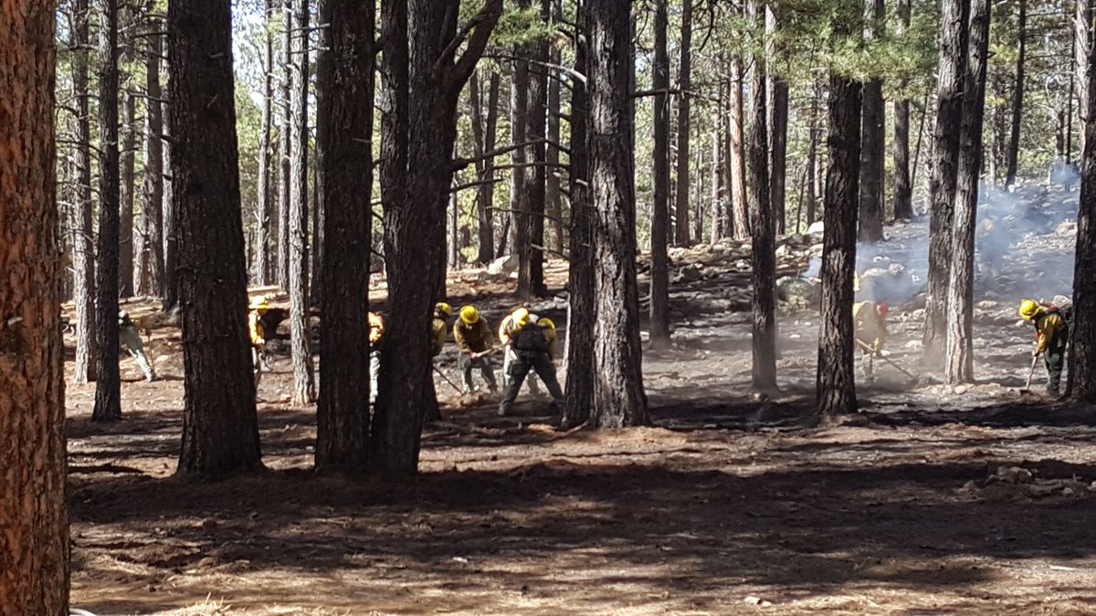 CoconinoNF's tweet photo. Field trip to #BillFire north of Wing Mountain (contained, 3 acres) to chat with NAZ Today about abandoned campfires. #Flagstaff @naztoday https://t.co/iHYNssglyM