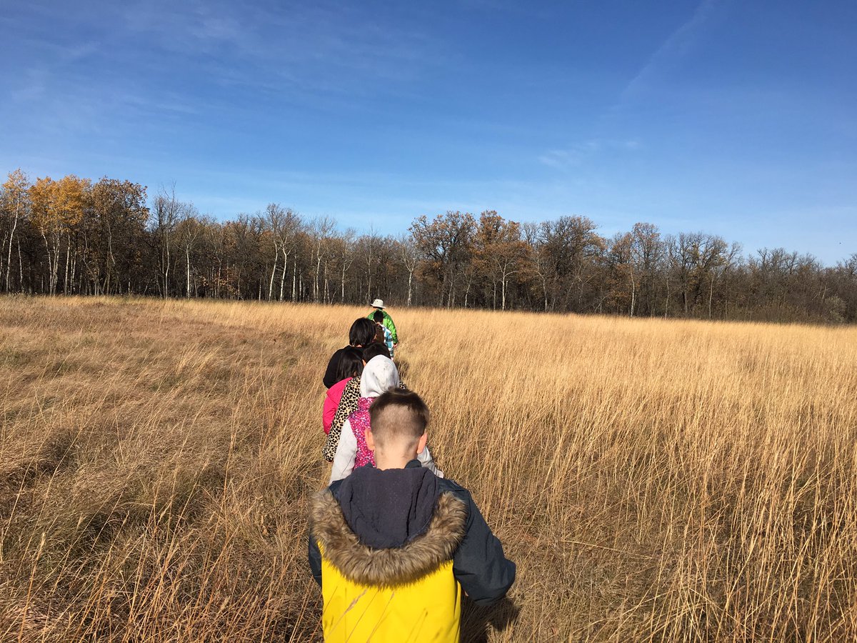 PritchTiff's tweet photo. Room 110 had a great day learning about forest, wetland and prairie habitats! @LivingPrairie @WellingtonWSD @WinnipegSD #outdooreducation https://t.co/W7BfXyk7rL