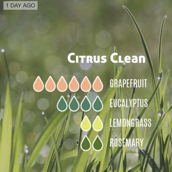 FreyasBaby's tweet image. #TodaysBlend