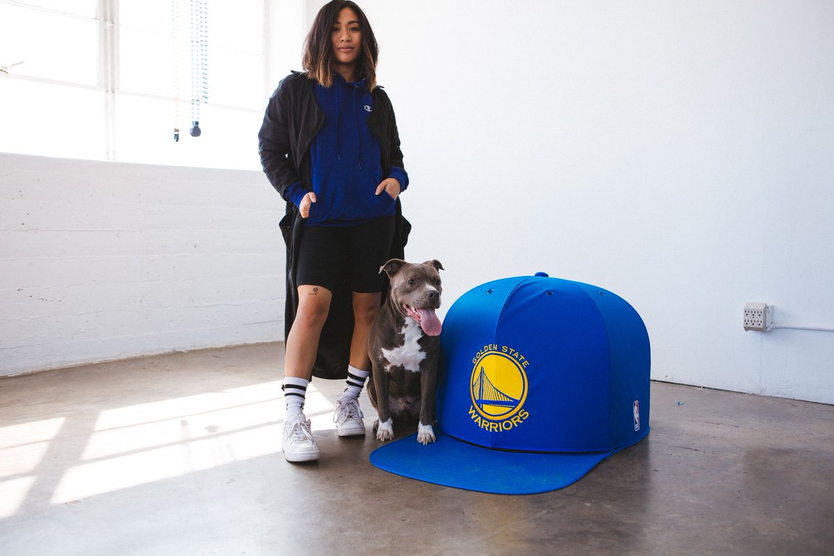 baseball cap dog house