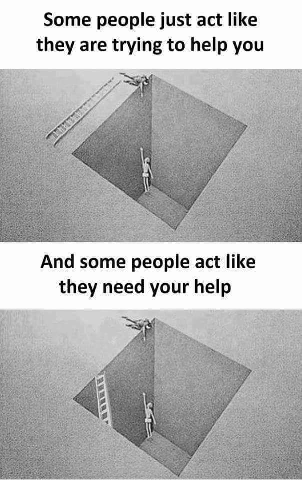 Net4Tech tweet media